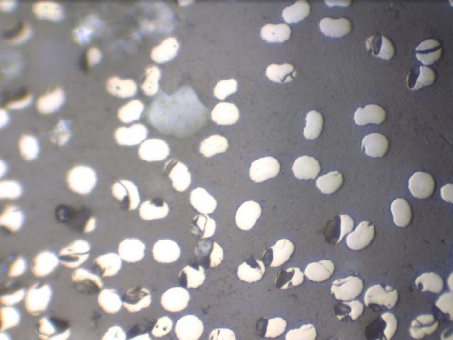 Zoomed picture number 3 of CFRP fibers