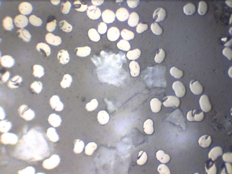 Zoomed picture number 4 of CFRP fibers