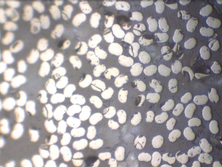 Zoomed picture number 5 of CFRP fibers